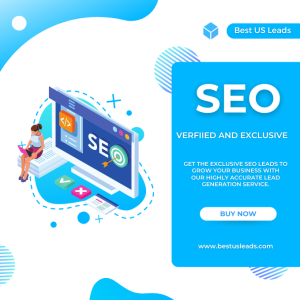 Exclusive SEO Leads